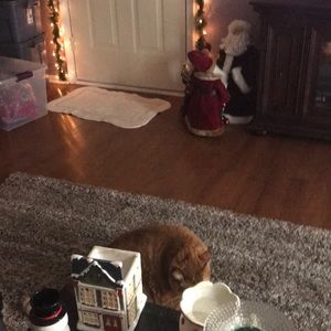 Meet your Posher, Justine